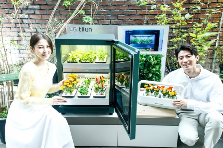 LG Electronics lança cultivador de plantas internas ‘tiiun’